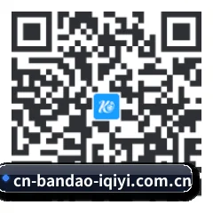 系统版 iOS 二维码